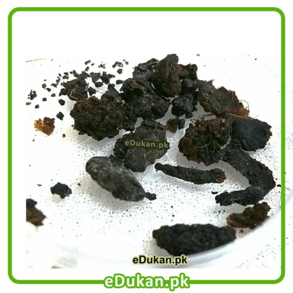 Deer Musk 1Gram مشک نافہ