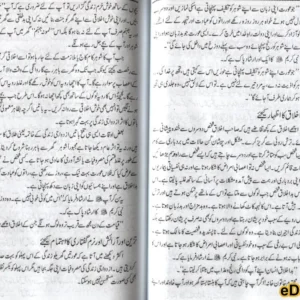 Izdawaji Zindagi kay Rahnuma Usool