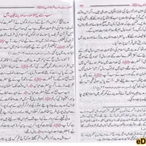 Seerat Khatimul Anbiyaa