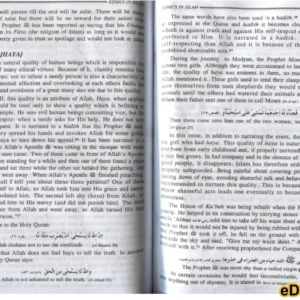 Seerat un Nabi English